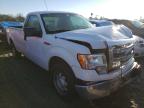 FORD - F150