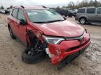 TOYOTA - RAV4