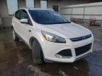 FORD - ESCAPE