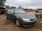 KIA - OPTIMA