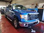 FORD - F-150