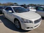 NISSAN - MAXIMA