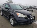 HONDA - CRV