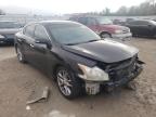 NISSAN - MAXIMA