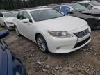 LEXUS - ES350