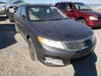 KIA - OPTIMA