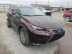 LEXUS - NX