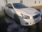 NISSAN - MAXIMA