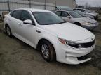 KIA - OPTIMA