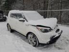 KIA - SOUL