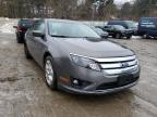 FORD - FUSION