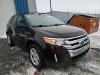 FORD - EDGE