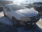 DODGE - AVENGER