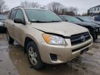 TOYOTA - RAV4