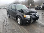 FORD - ESCAPE