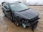 FORD - ESCAPE
