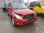 TOYOTA - RAV4