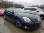 NISSAN - MAXIMA