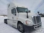 FREIGHTLINER - CASCADIA 1