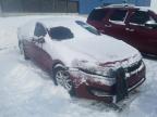 KIA - OPTIMA