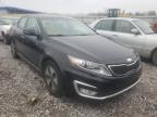 KIA - OPTIMA