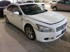 NISSAN - MAXIMA