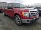 FORD - F-150