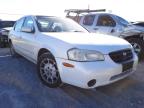 NISSAN - MAXIMA