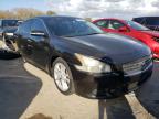 NISSAN - MAXIMA