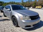 DODGE - AVENGER