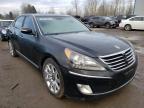 HYUNDAI - EQUUS