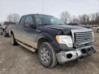 FORD - F-150