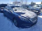 HYUNDAI - SONATA