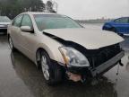 NISSAN - MAXIMA