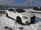NISSAN - MAXIMA