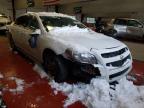 CHEVROLET - MALIBU