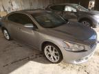 NISSAN - MAXIMA