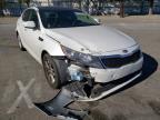 KIA - OPTIMA