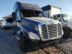 FREIGHTLINER - CASCADIA 1