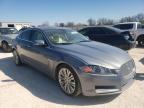 JAGUAR - XF