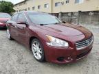 NISSAN - MAXIMA