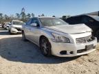 NISSAN - MAXIMA