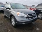 HONDA - CRV