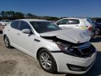 KIA - OPTIMA