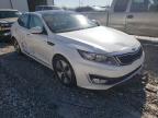 KIA - OPTIMA