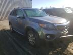 KIA - SORENTO