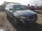 TOYOTA - RAV4