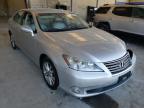 LEXUS - ES350