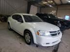 DODGE - AVENGER