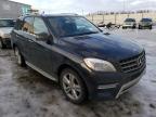 MERCEDES-BENZ - M-CLASS
